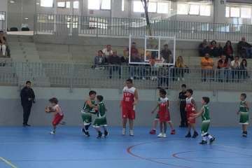 Fin de semana bajo la canasta en Telde (Foto TA)