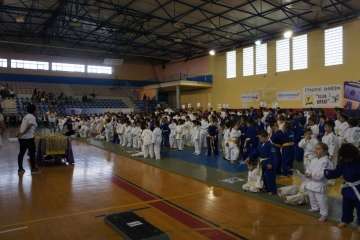 Éxito del V Festival de Judokitas en Telde (Foto TA)