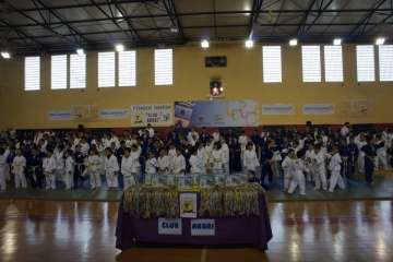 Éxito del V Festival de Judokitas en Telde (Foto TA)