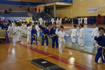Éxito del V Festival de Judokitas en Telde (Foto TA)