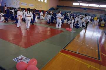 Éxito del V Festival de Judokitas en Telde (Foto TA)