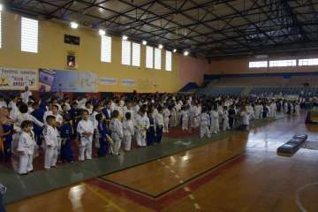 Éxito del V Festival de Judokitas en Telde (Foto TA)