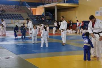 Éxito del V Festival de Judokitas en Telde (Foto TA)