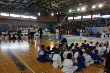 Éxito del V Festival de Judokitas en Telde (Foto TA)