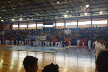XII Festival de Judo Infantil en Telde (Foto TA)