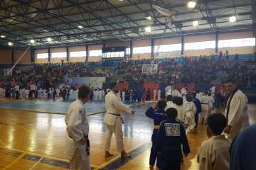 XII Festival de Judo Infantil en Telde (Foto TA)