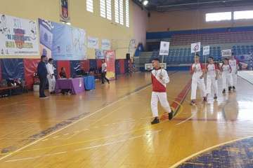 XII Festival de Judo Infantil en Telde (Foto TA)