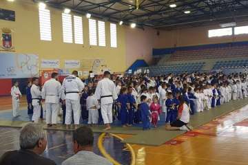 XII Festival de Judo Infantil en Telde (Foto TA)