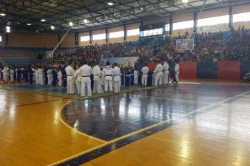 XII Festival de Judo Infantil en Telde (Foto TA)