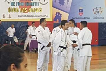XII Festival de Judo Infantil en Telde (Foto TA)