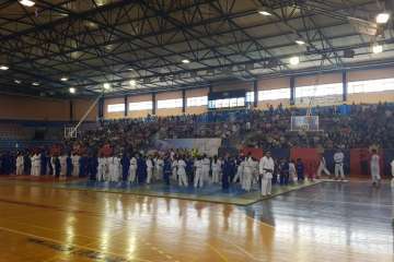 XII Festival de Judo Infantil en Telde (Foto TA)
