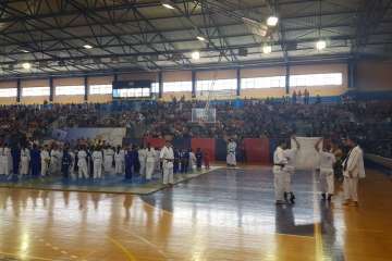 XII Festival de Judo Infantil en Telde (Foto TA)