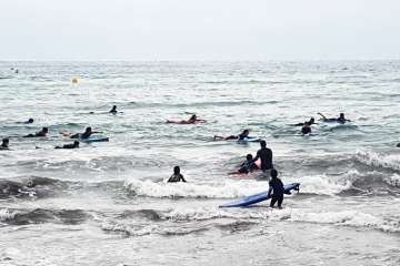 Aprendices y experimentados surferos en la playa de Salinetas (Foto FA y Antonio Rico)