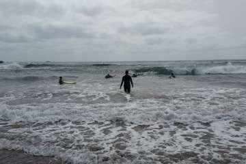 Aprendices y experimentados surferos en la playa de Salinetas (Foto FA y Antonio Rico)
