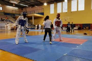  Festival de Taekwondo en Telde (Foto TA)