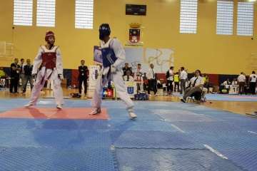  Festival de Taekwondo en Telde (Foto TA)