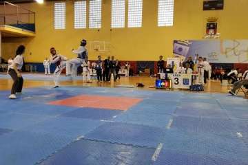  Festival de Taekwondo en Telde (Foto TA)