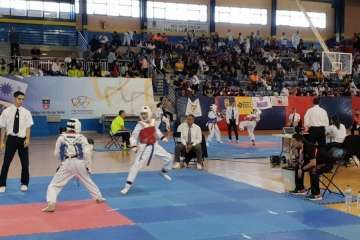  Festival de Taekwondo en Telde (Foto TA)