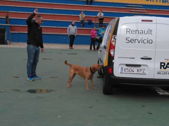 Momento de las pruebas de este domingo (Foto TA)