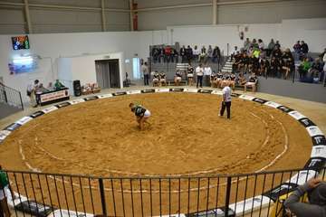 Telde culmina por fin la puesta en uso del terrero de Lomo Cementerio
