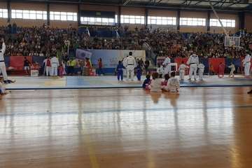  El VI Festival Judokitas crea cantera en Telde (Foto TA)