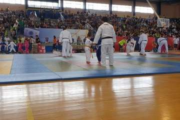  El VI Festival Judokitas crea cantera en Telde (Foto TA)