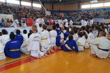  El VI Festival Judokitas crea cantera en Telde (Foto TA)