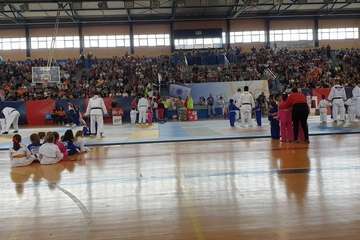  El VI Festival Judokitas crea cantera en Telde (Foto TA)