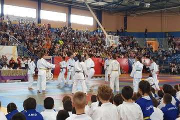  El VI Festival Judokitas crea cantera en Telde (Foto TA)
