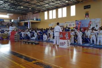  El VI Festival Judokitas crea cantera en Telde (Foto TA)