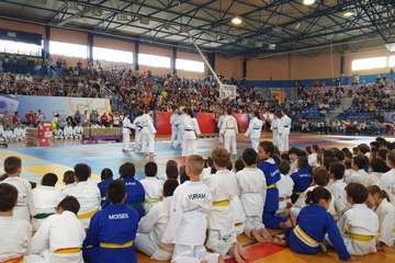  El VI Festival Judokitas crea cantera en Telde (Foto TA)
