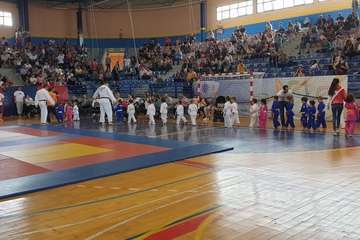 El VI Festival Judokitas crea cantera en Telde (Foto TA)