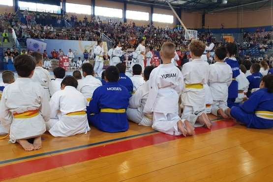  El VI Festival Judokitas crea cantera en Telde (Foto TA)