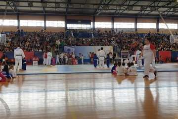  El VI Festival Judokitas crea cantera en Telde (Foto TA)