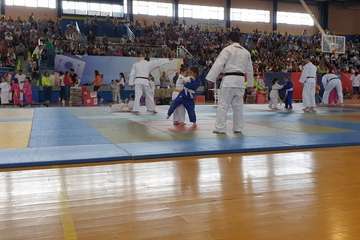  El VI Festival Judokitas crea cantera en Telde (Foto TA)