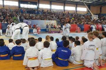  El VI Festival Judokitas crea cantera en Telde (Foto TA)
