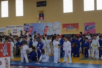  El VI Festival Judokitas crea cantera en Telde (Foto TA)
