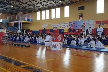  El VI Festival Judokitas crea cantera en Telde (Foto TA)