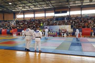  El VI Festival Judokitas crea cantera en Telde (Foto TA)