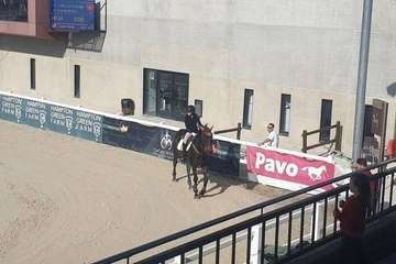 Carlota Gutiérrez, joven amazona teldense (Foto TA)