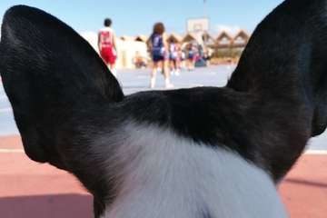 Celebración del evento deportivo 10 Horas de Baloncesto en Telde (Foto TBT y TA)