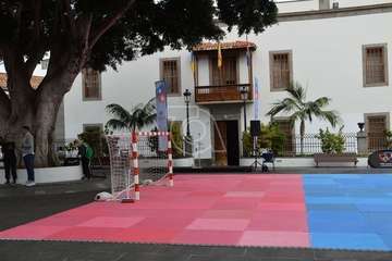  Jornada escolar de balonmano en San Juan Foto TA)