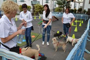  Jornada escolar de balonmano en San Juan Foto TA)