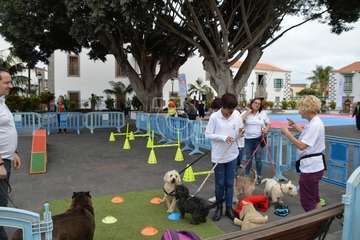  Jornada escolar de balonmano en San Juan Foto TA)