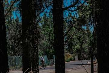 El teldense Pablo Rodríguez conquista el Pico de las Nieves/TA.