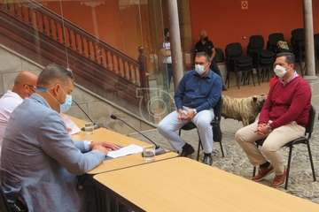 Presentación del concurso monográfico de presa canario en Telde/TA.