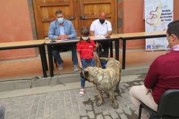 Presentación del concurso monográfico de presa canario en Telde/TA.