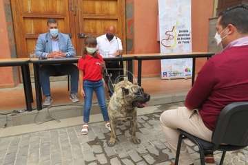 Presentación del concurso monográfico de presa canario en Telde/TA.