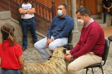 Presentación del concurso monográfico de presa canario en Telde/TA.