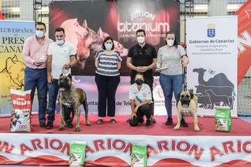 Concurso monográfico de presa canario en Telde/TA y Acfi Press.